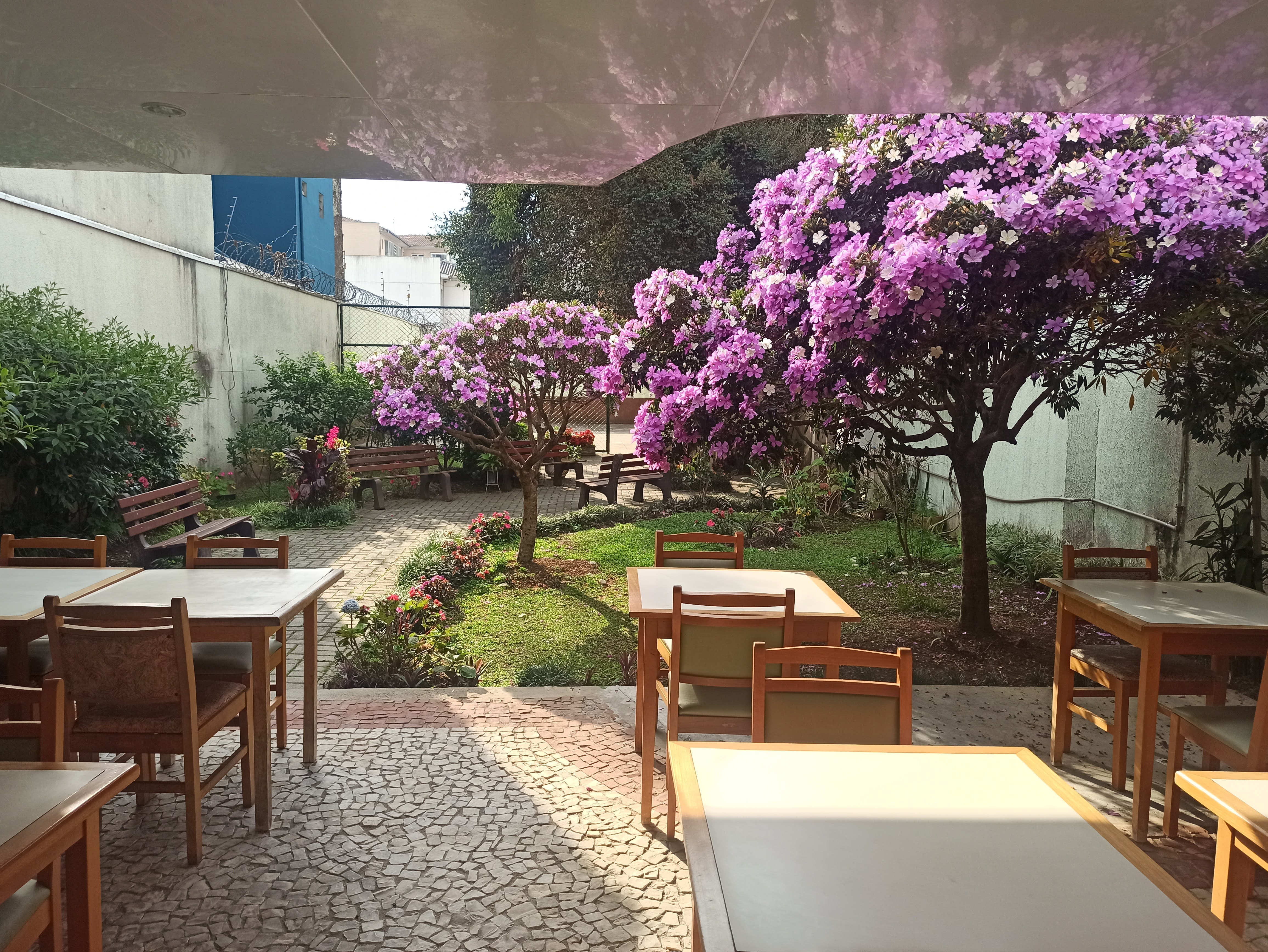 Ambiente