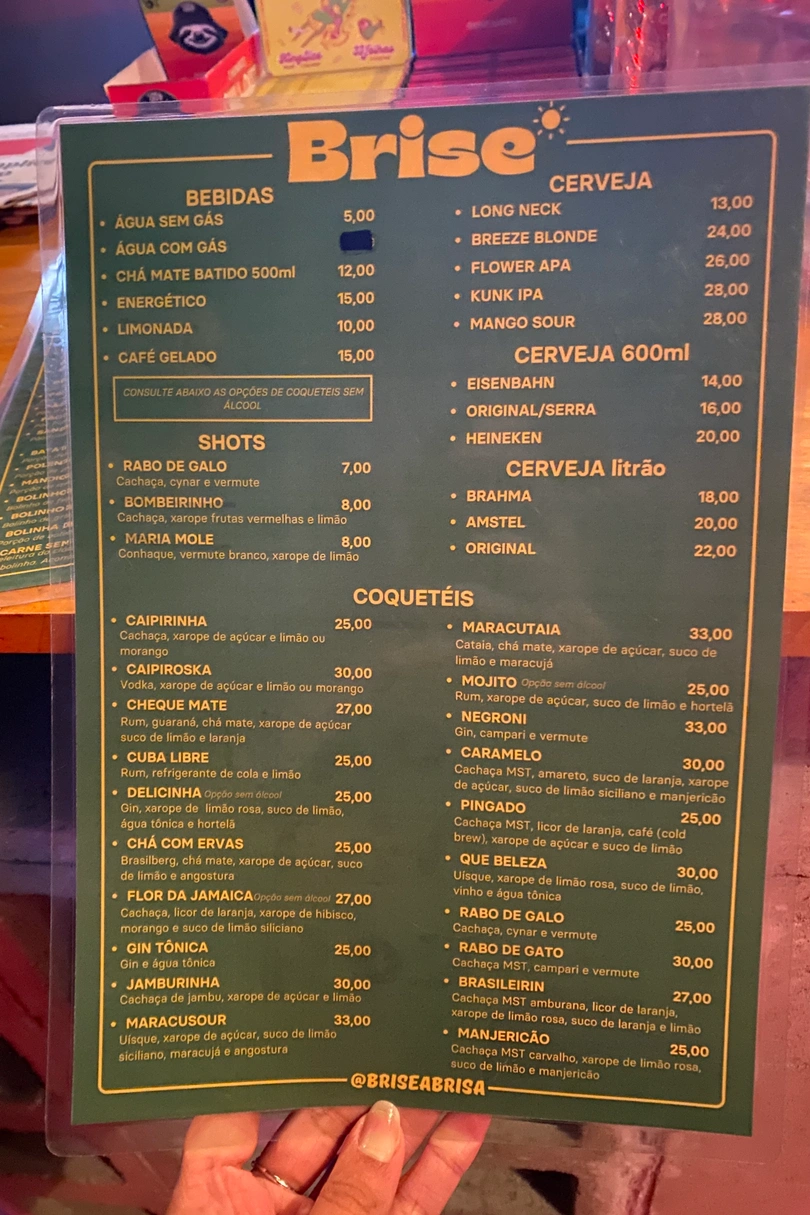 Brise Bar cover