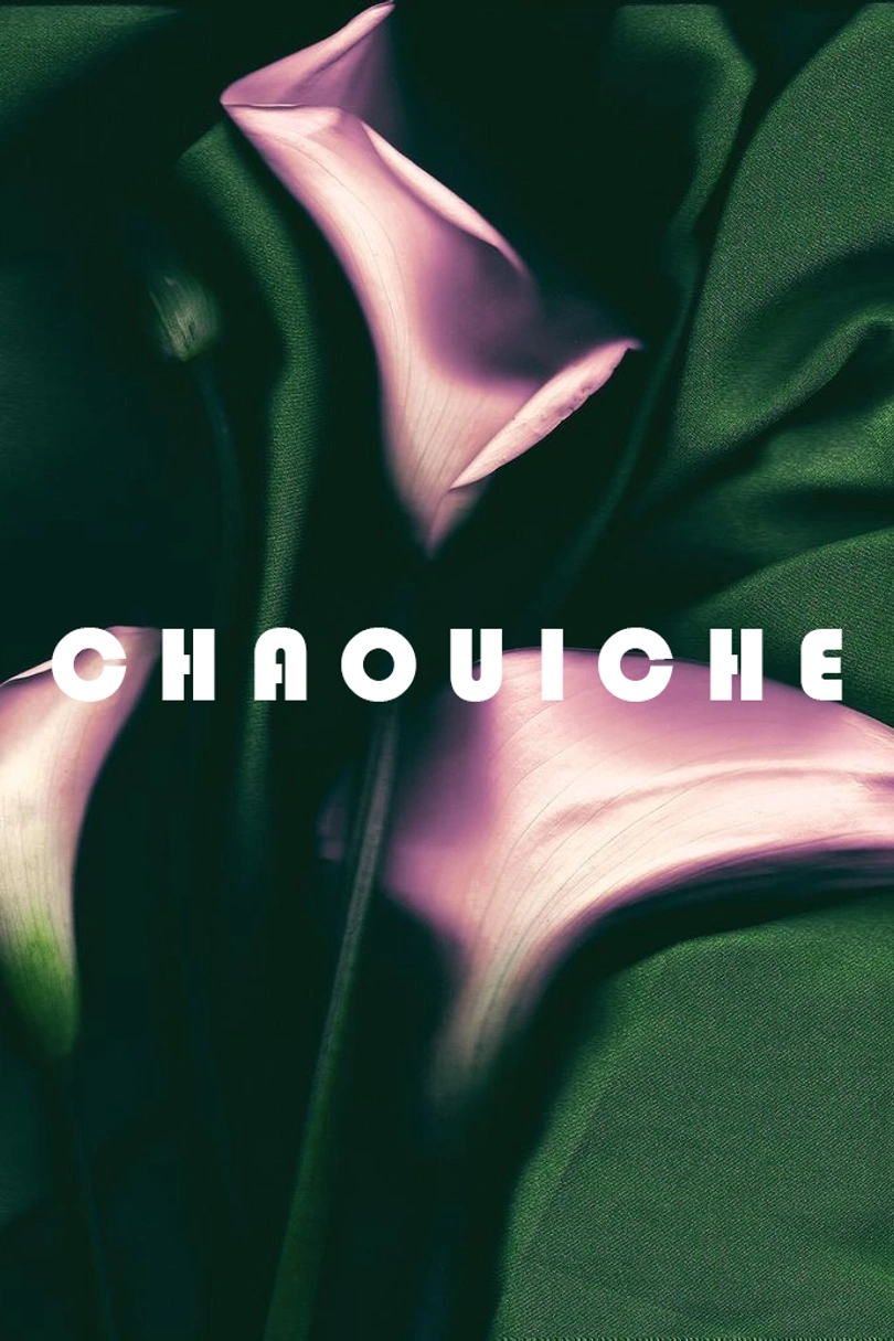 CHAOUICHE cover