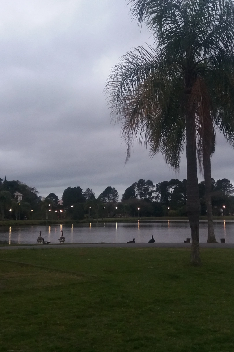 Ambiente