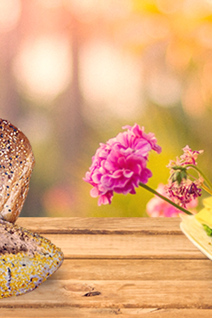 Padaria Brioche | Água Verde cover