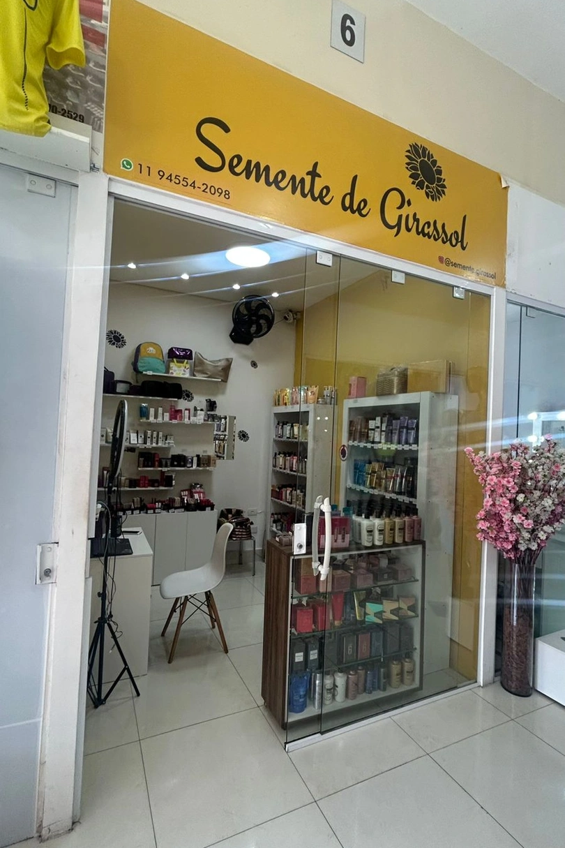 Semente de Girassol cover